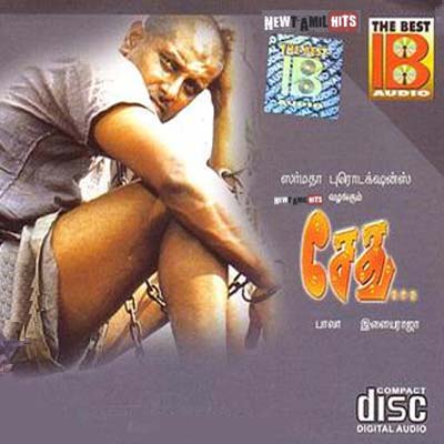 Sethu (1999) DVDRip Tamil Full Movie Watch Online